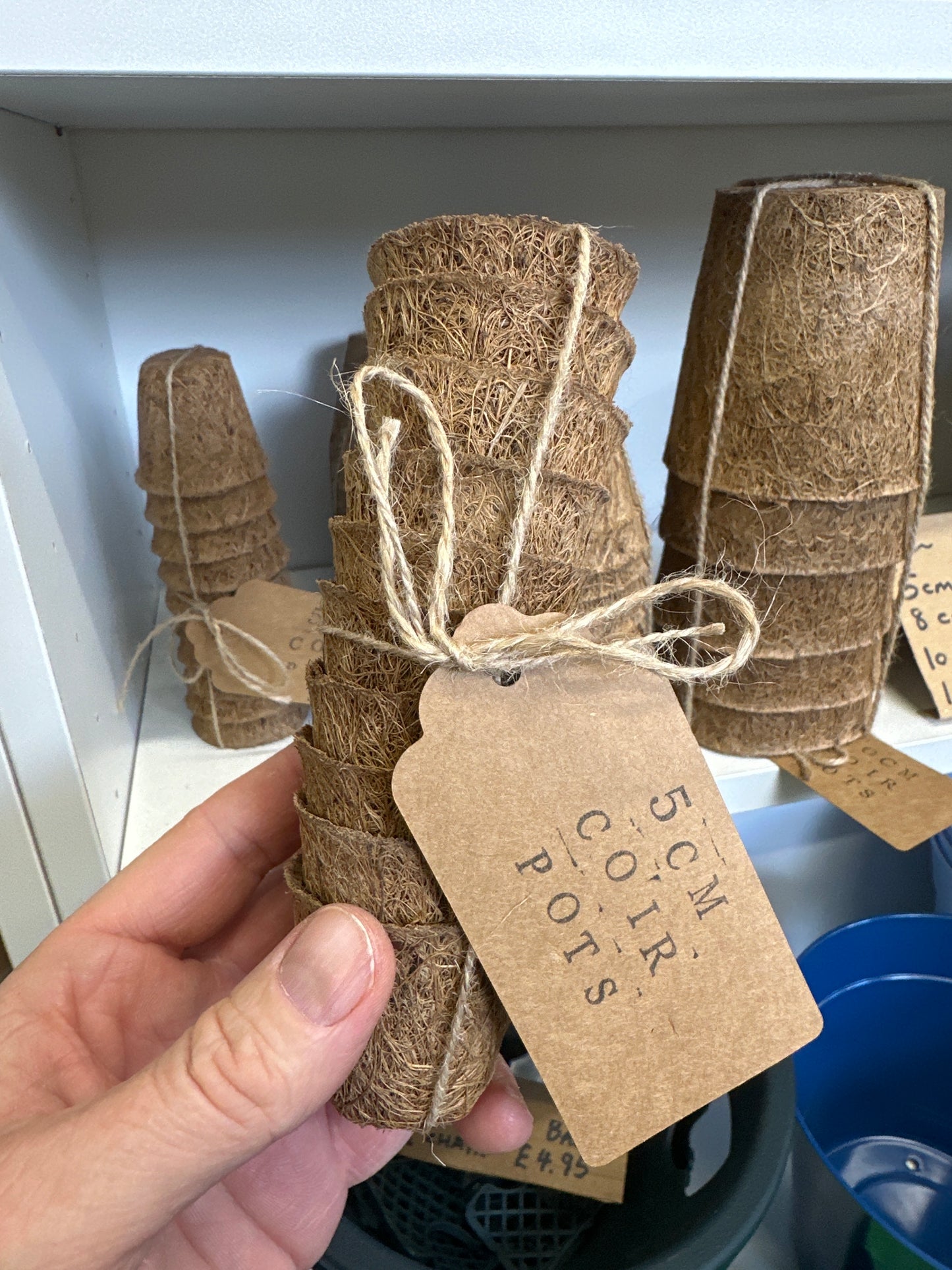 Coir Pots - 5cm (10 pack)