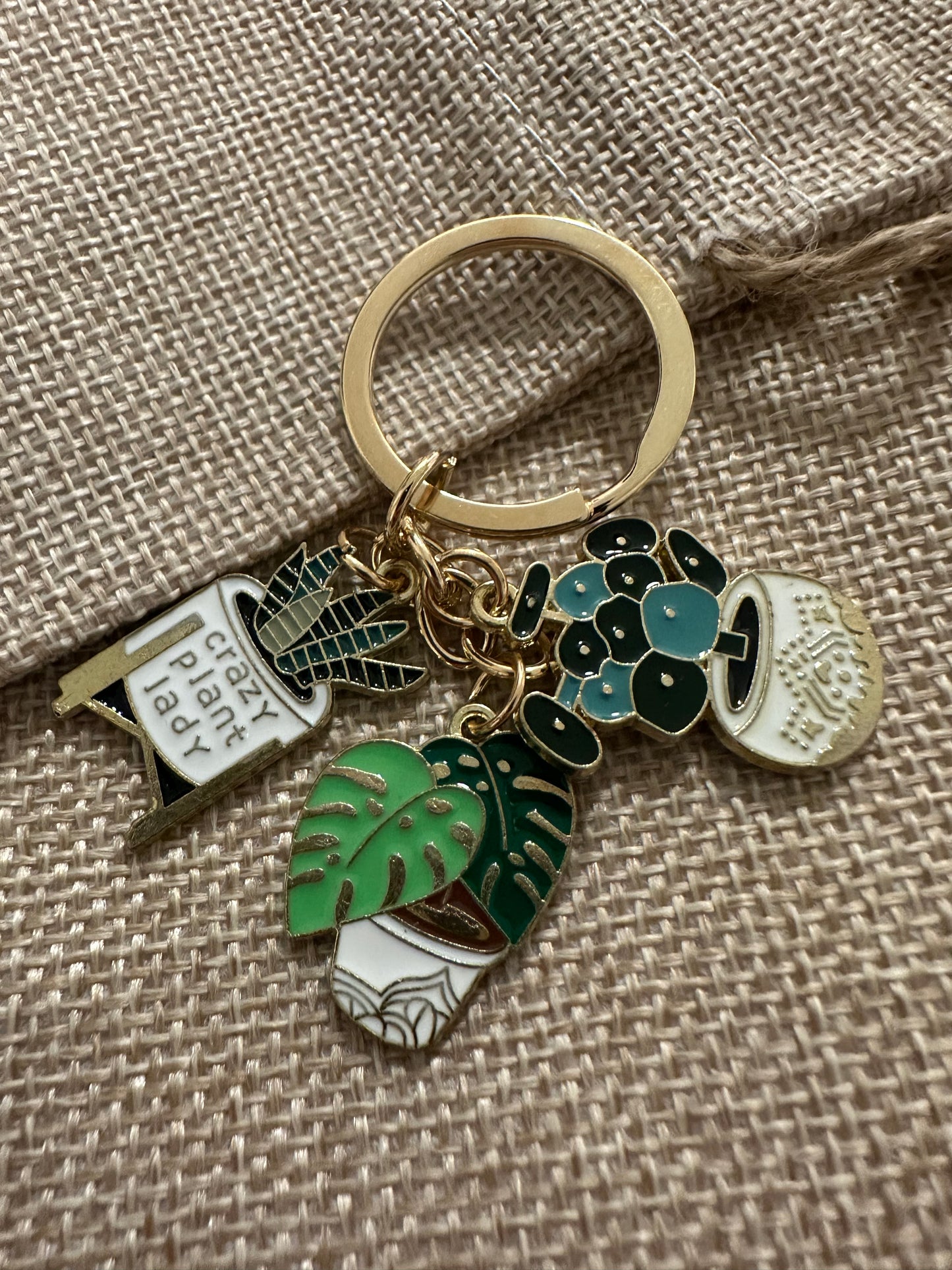 ‘Crazy Plant Lady’ Keyring