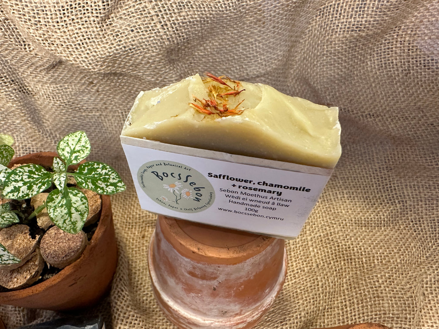 Safflower, Chamomile & Rosemary Soap