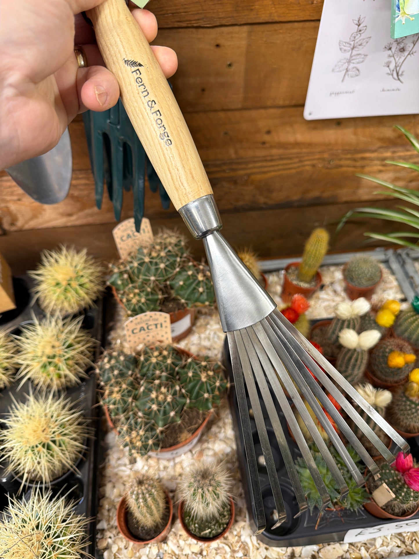 Hand Rake