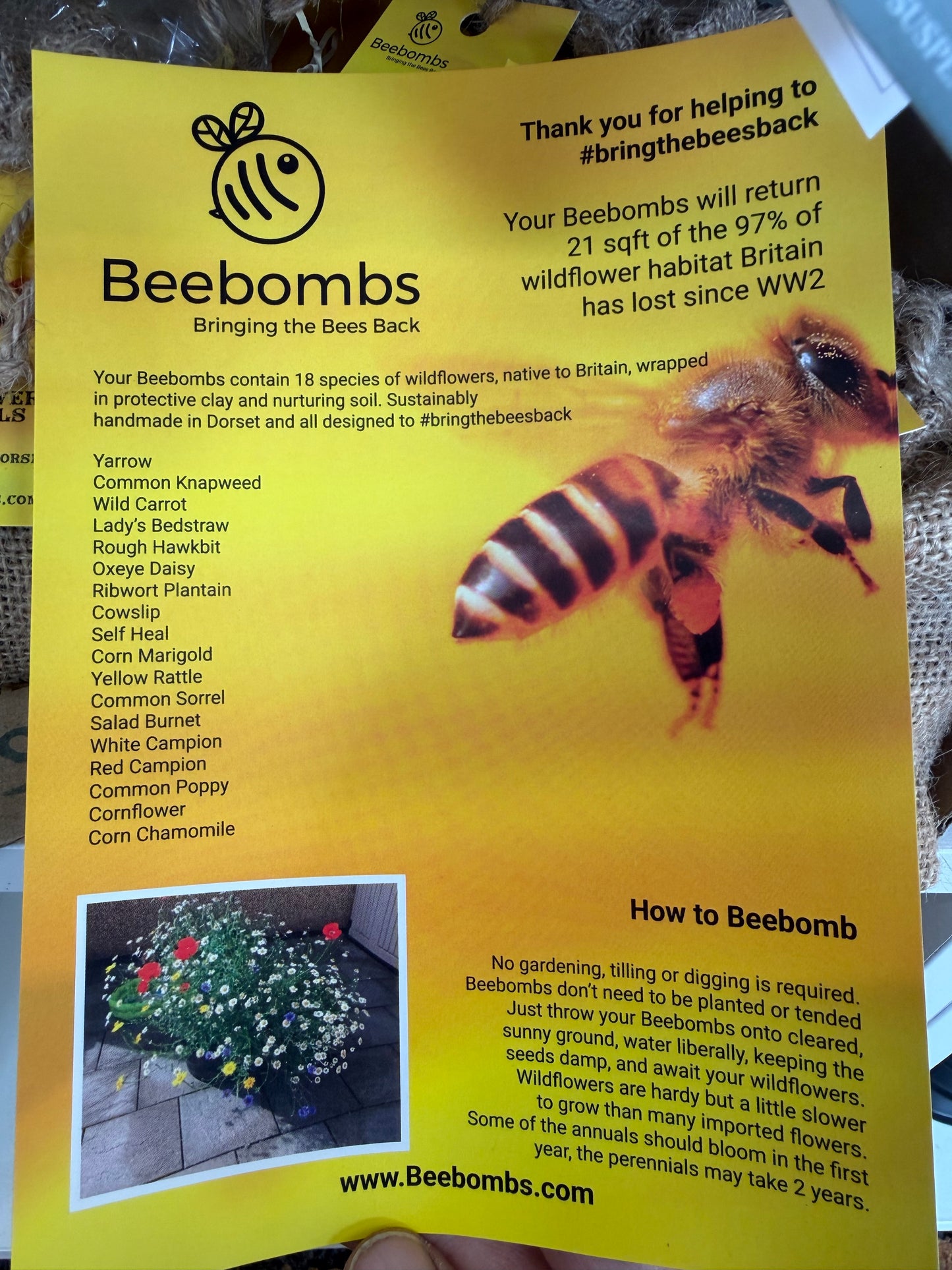 Beebombs