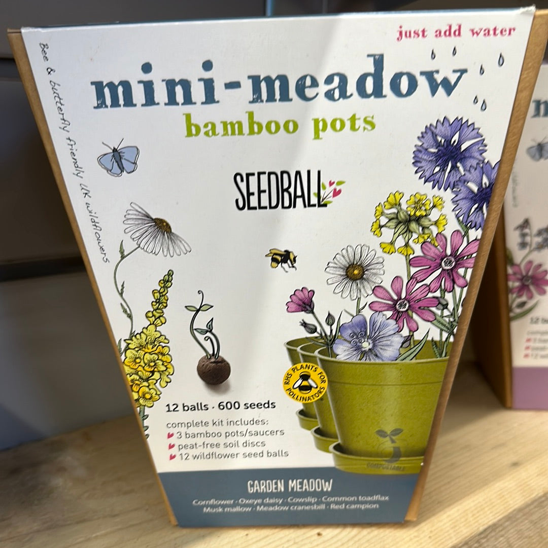 'Seedball' Wildflower Seed Collection