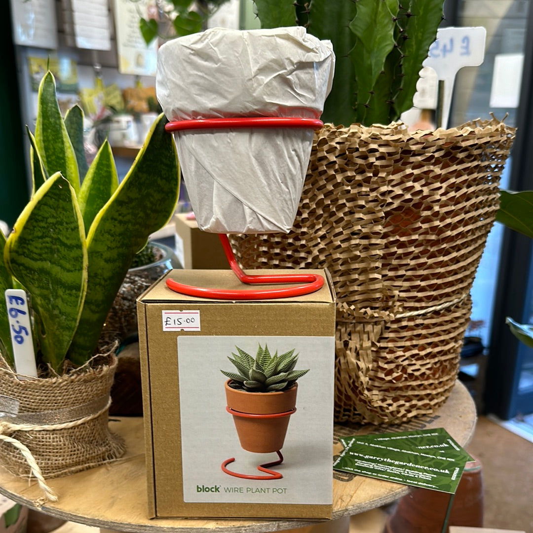 Wire Plant Pot ‘Red’