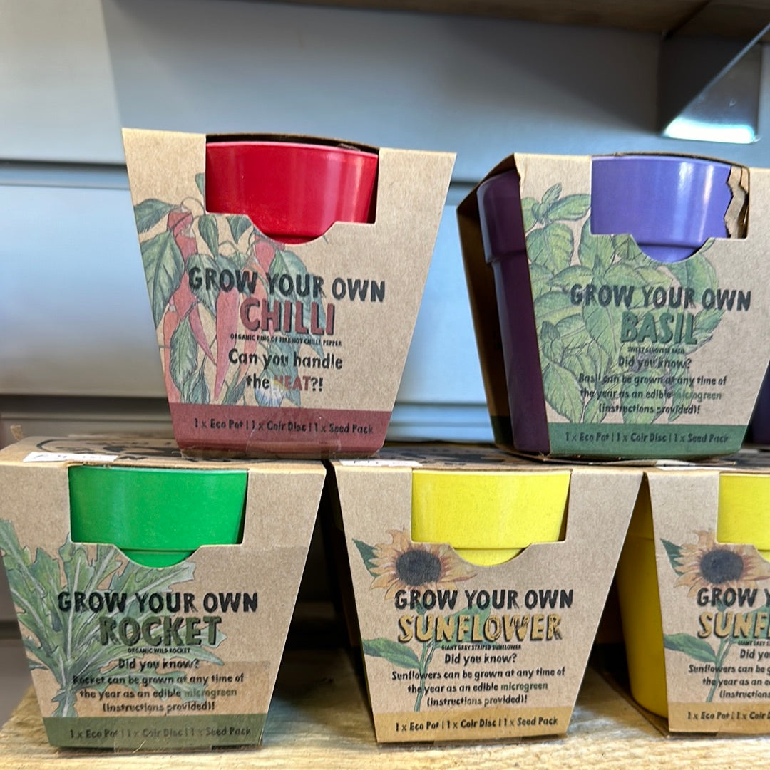 Grow your Own in Eco Pots