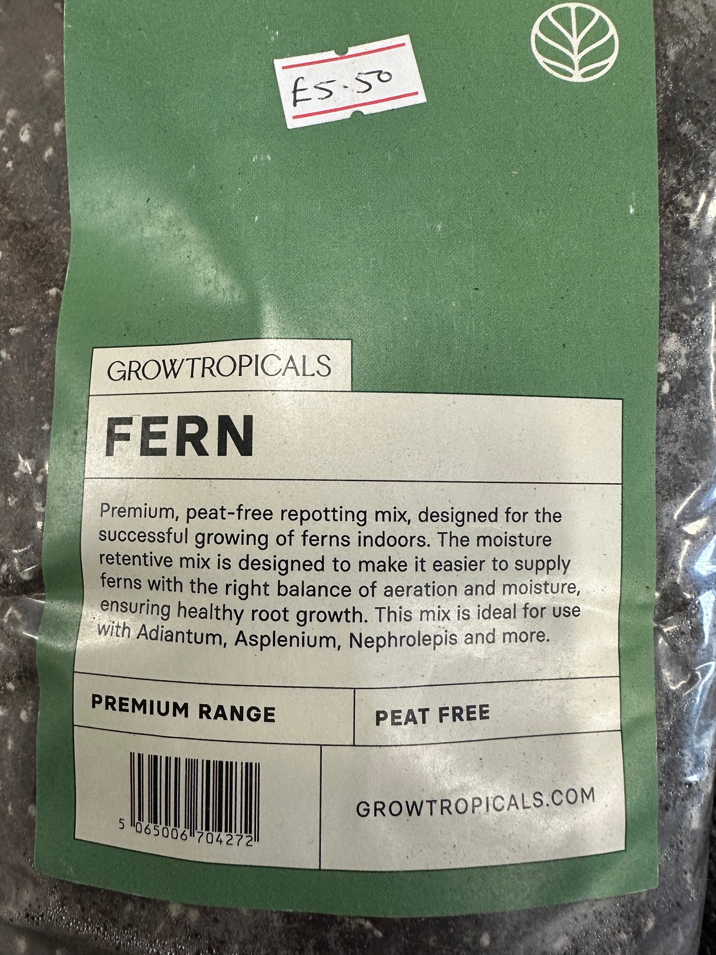 ‘Fern Mix’
