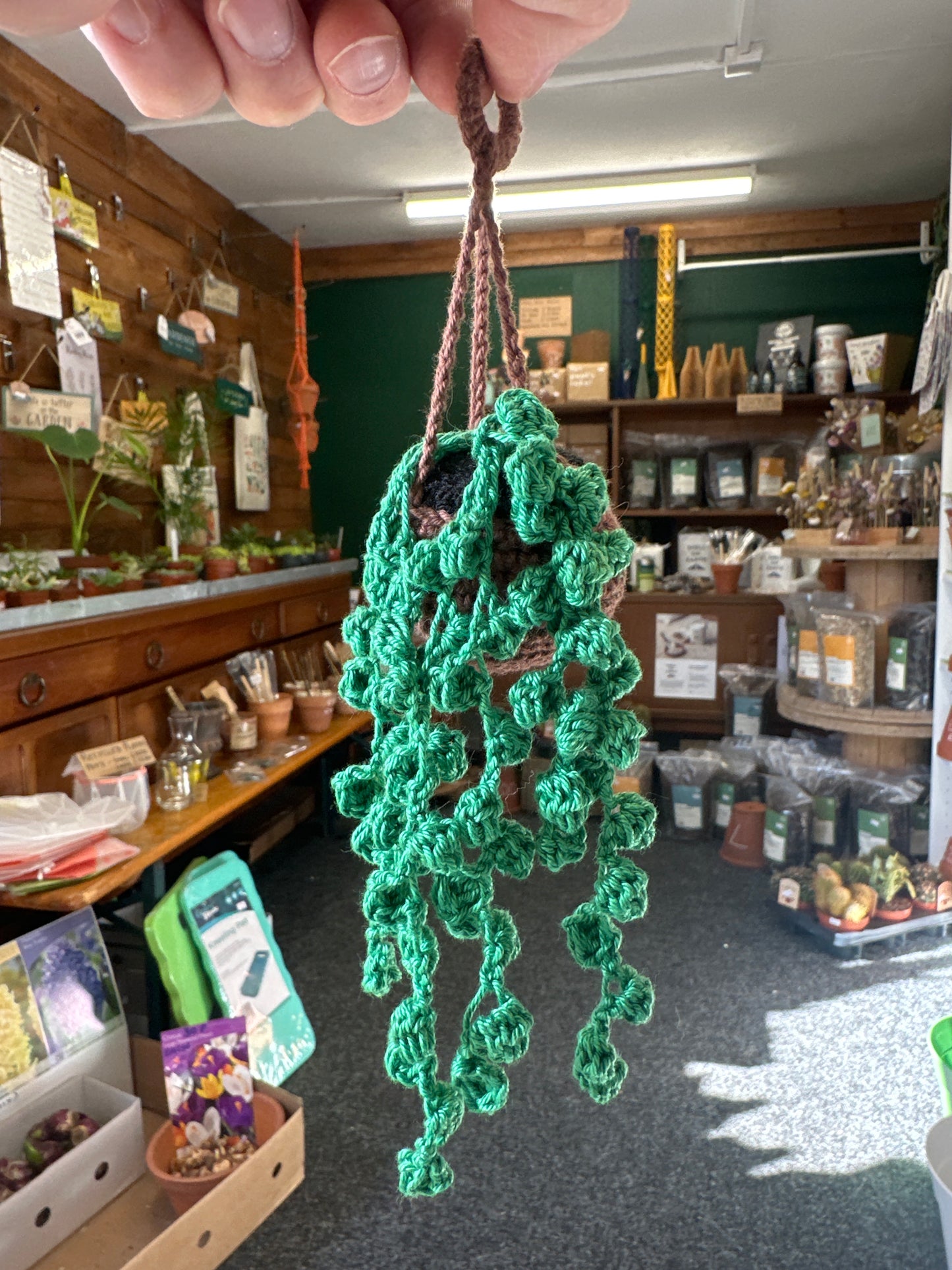 Hanging Crochet Planter