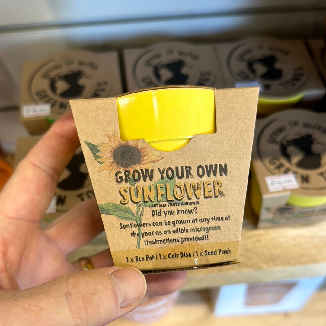 Grow your Own in Eco Pots