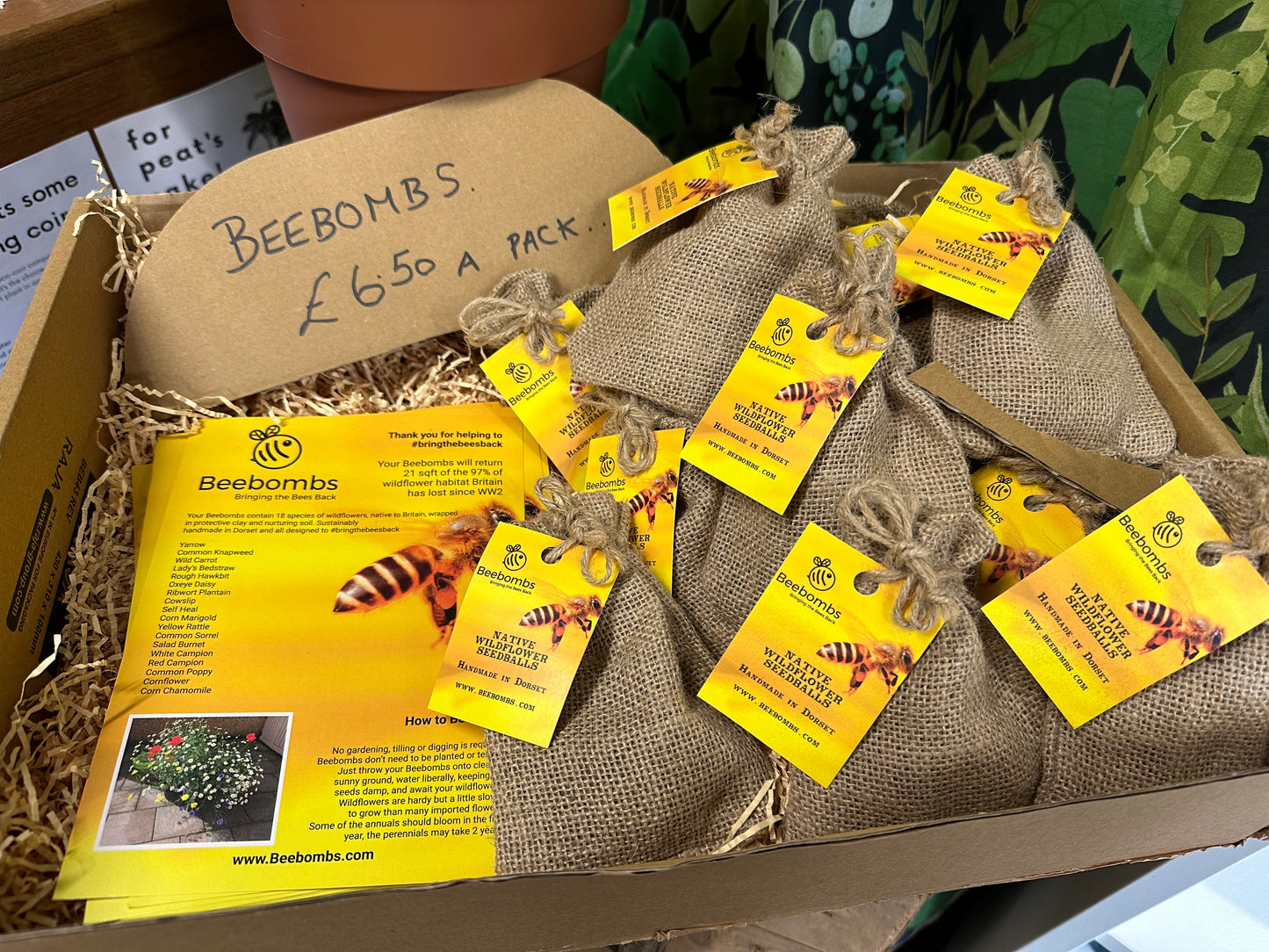Beebombs