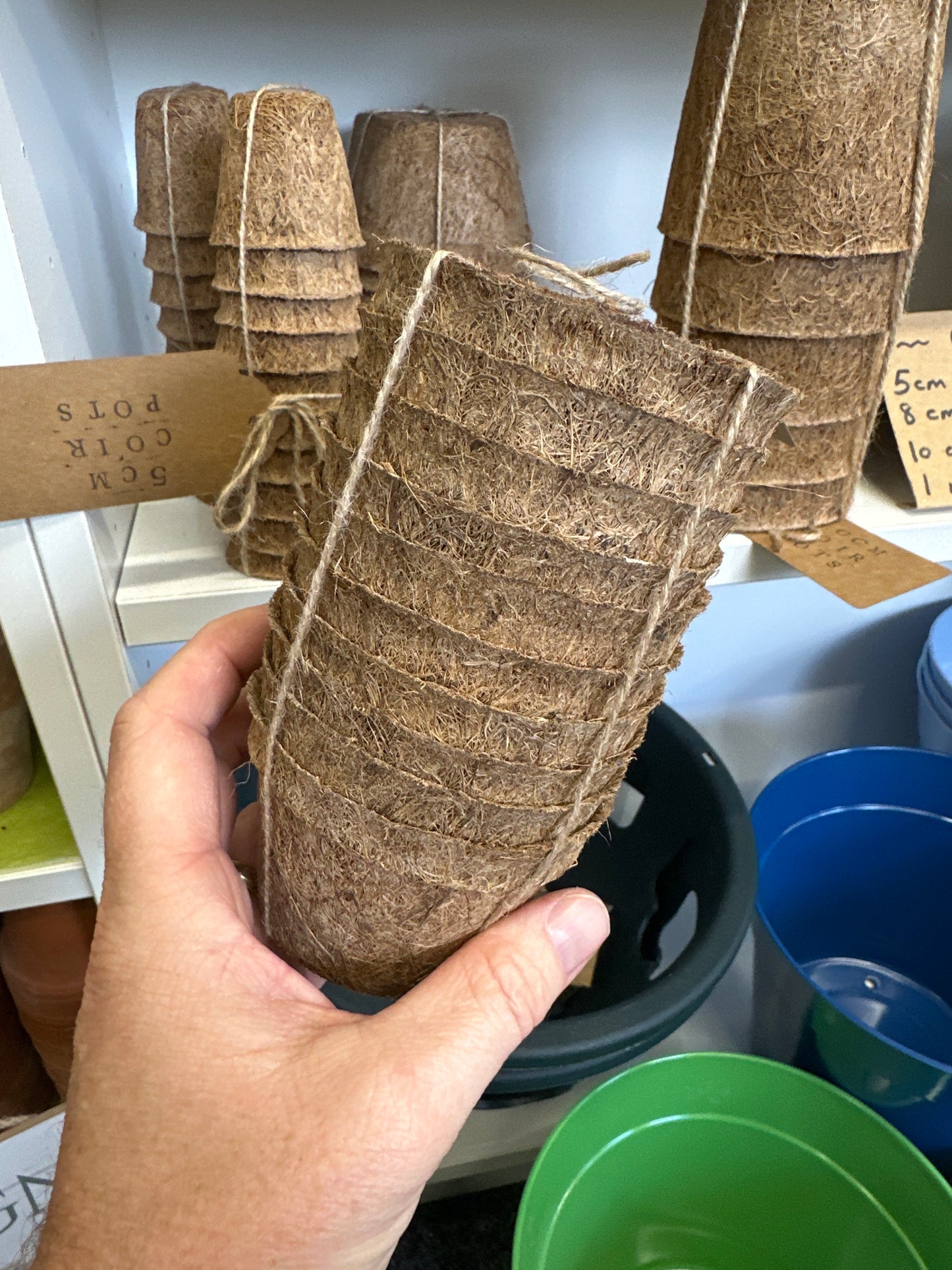 Coir Pots - 8cm (10 pack)