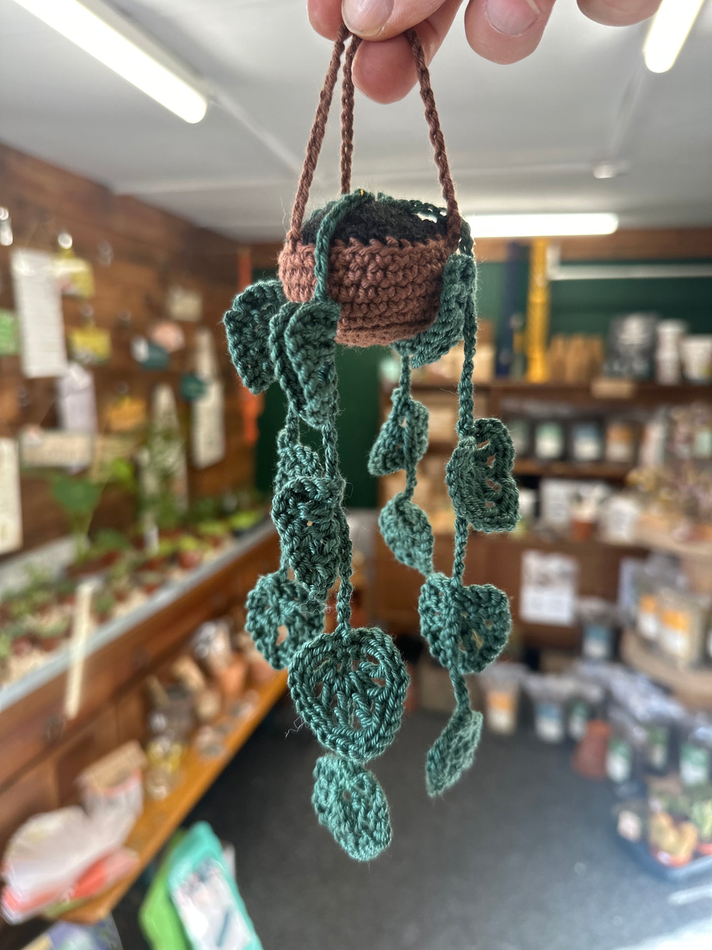 Hanging Crochet Planter