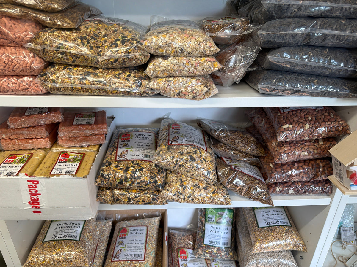 Bird Seed & Accessories