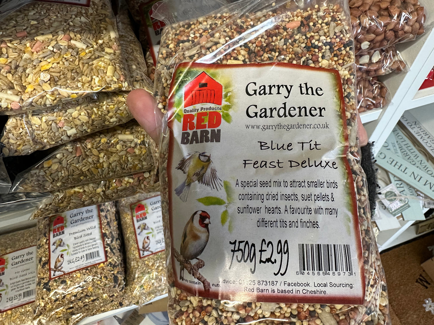 Bird Seed & Accessories