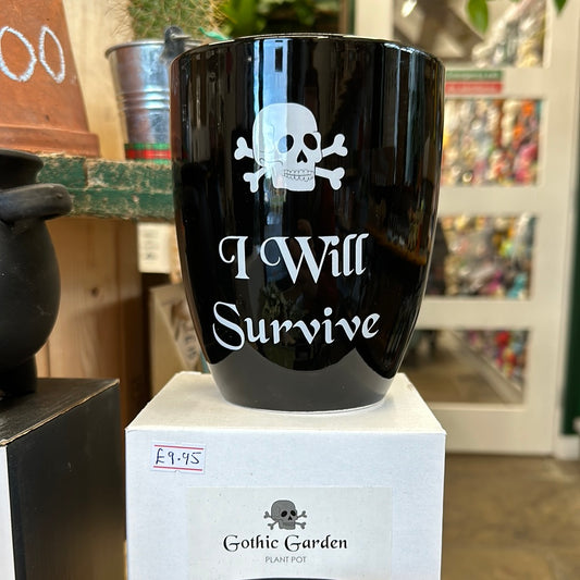 ‘I Will Survive’ Ceramic Plant Pot