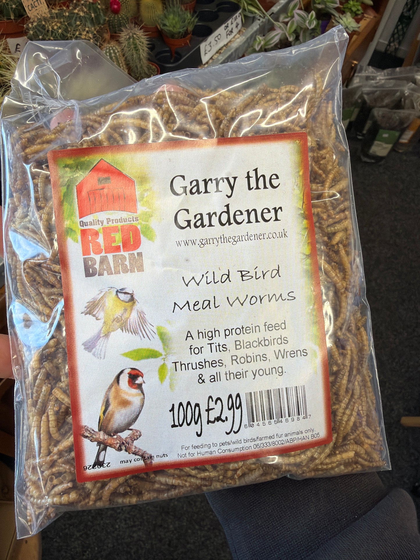 Wild Bird Meal Worms