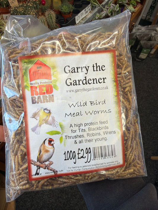Wild Bird Meal Worms