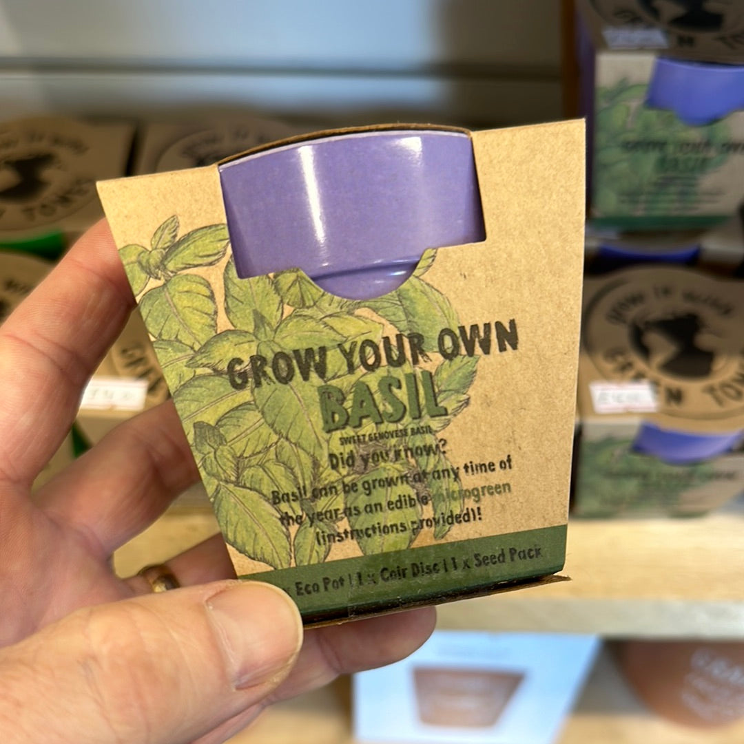Grow your Own in Eco Pots
