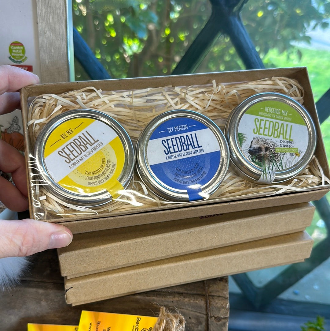 Seedball Gift Set