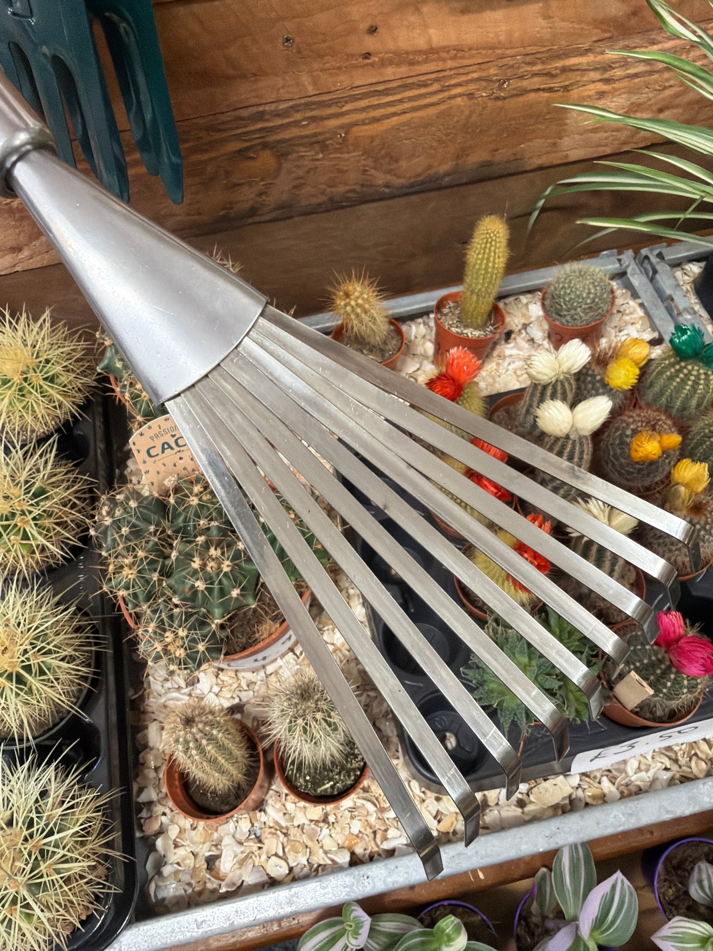Hand Rake
