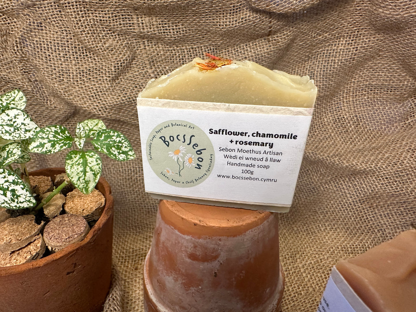 Safflower, Chamomile & Rosemary Soap