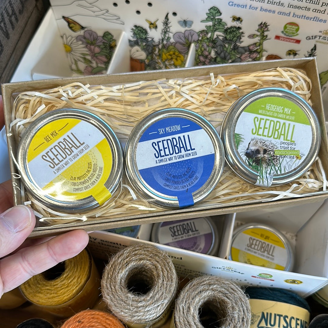 'Seedball' Wildflower Seed Collection