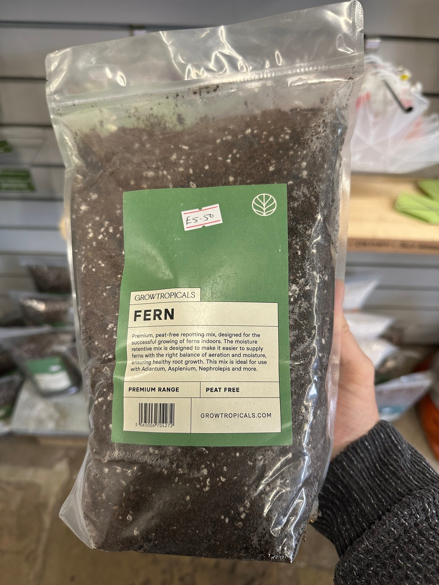 ‘Fern Mix’