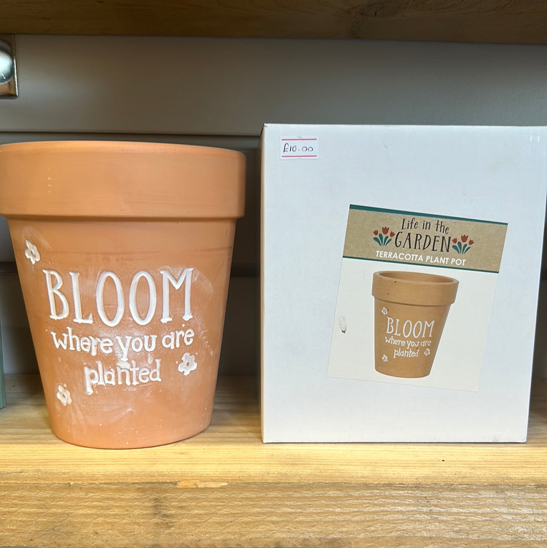 ‘Bloom Where You Are Planted’ Terracotta Plant Pot