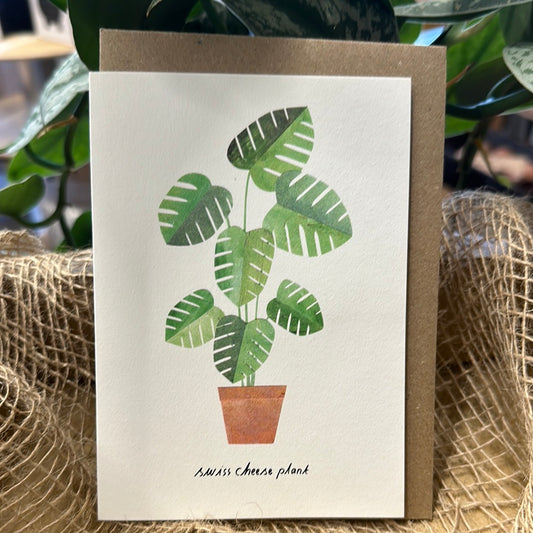 ‘Swiss Cheese Plant’ Greetings Card