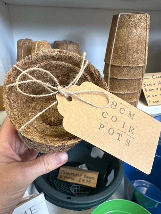 Coir Pots - 8cm (10 pack)