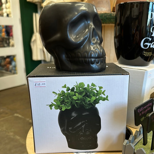 ‘Skull’ Plant Pot