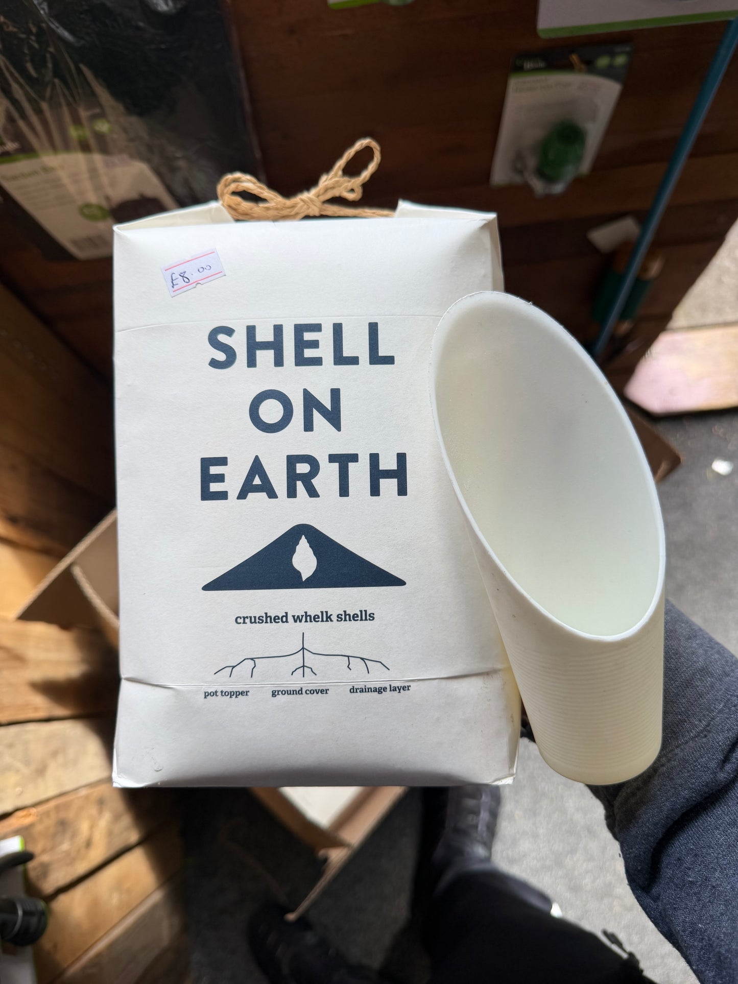 Shell on Earth