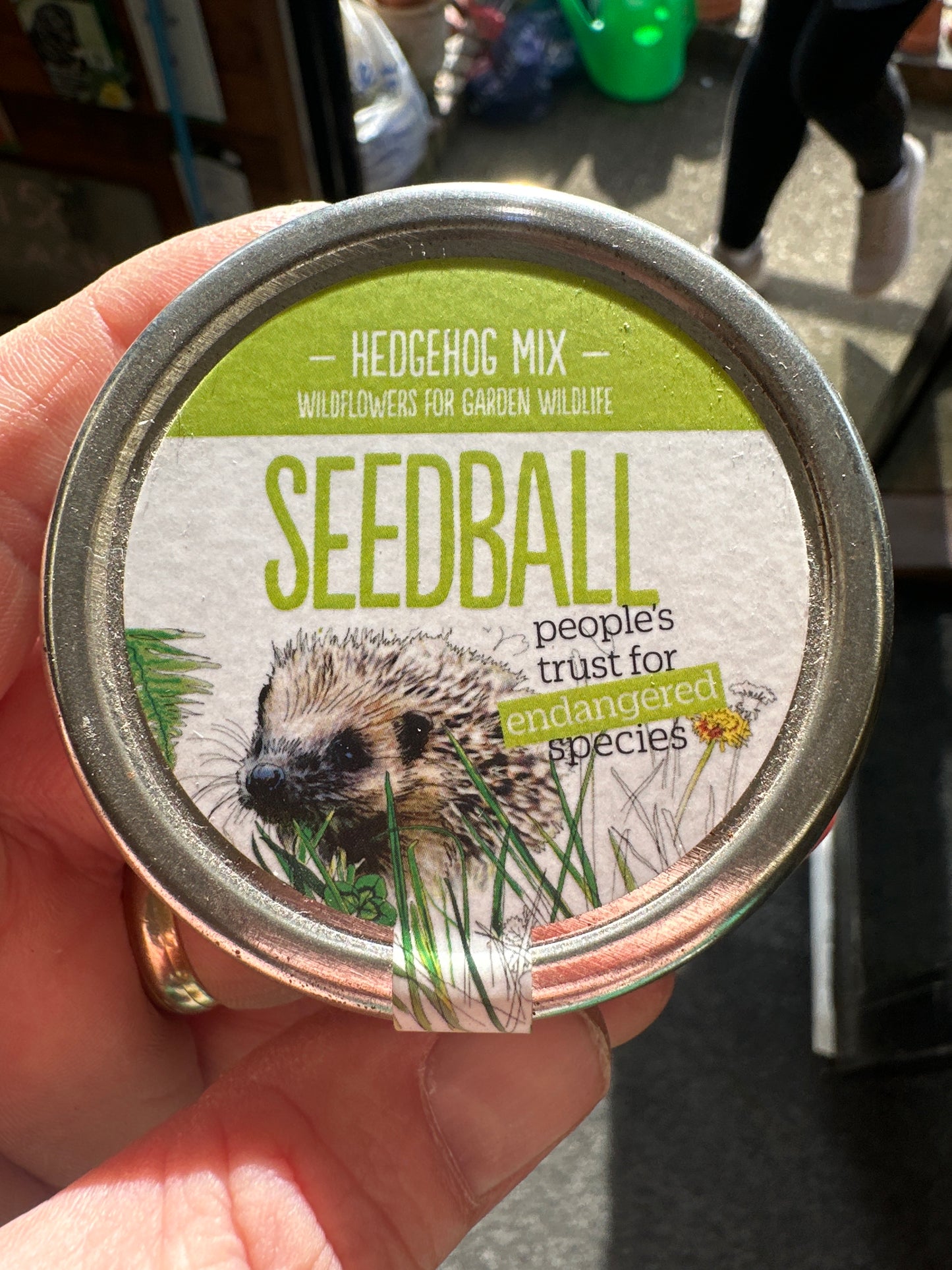 Hedgehog Mix