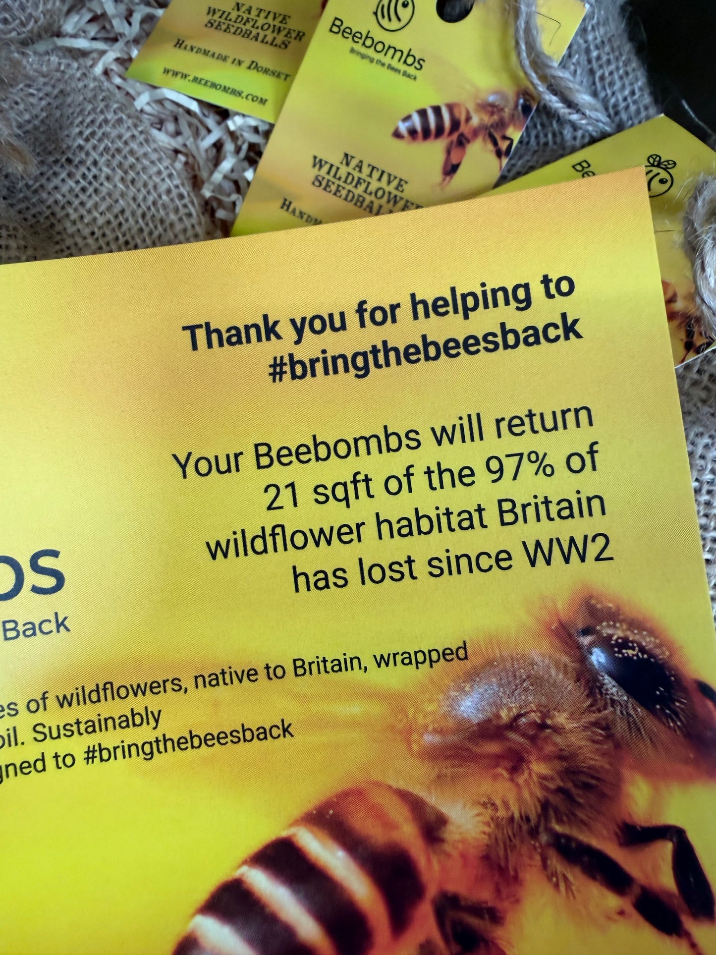 Beebombs