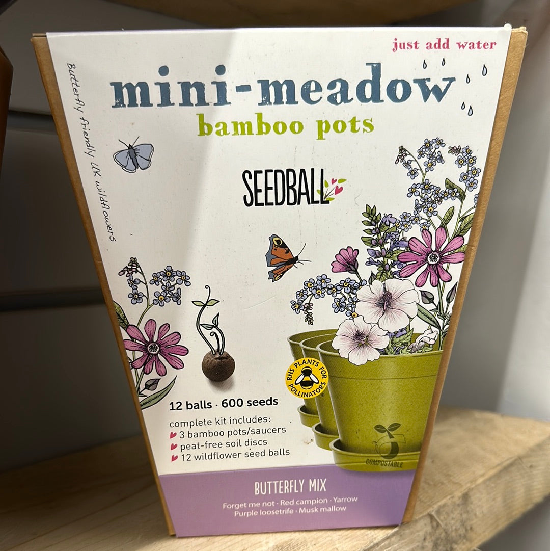 'Seedball' Wildflower Seed Collection