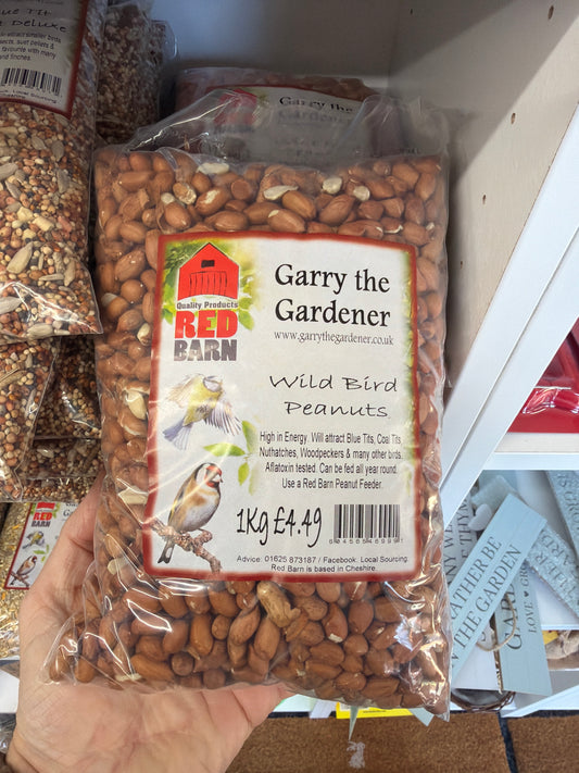 Wild Bird Peanuts