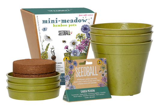 'Seedball' Wildflower Seed Collection